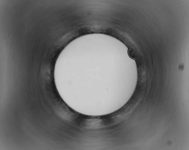 X0000101200266200807251032