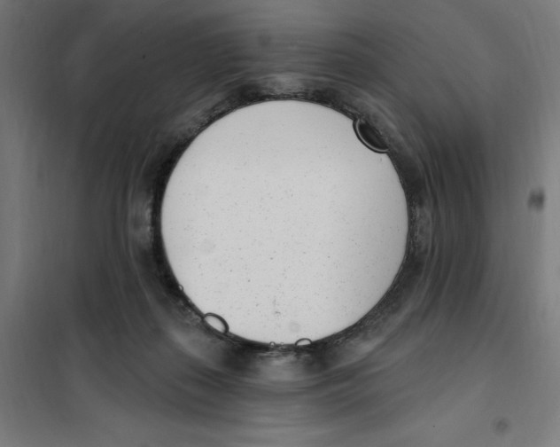 X0000101200267200807251032