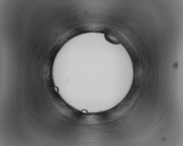 X0000101200268200807251032