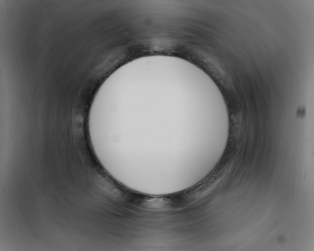 X0000101200269200807251032