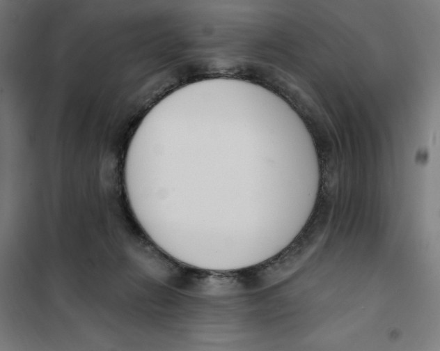 X0000101200270200807251032