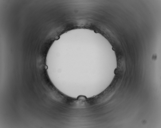 X0000101200272200807251033