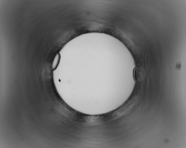 X0000101200273200807251033