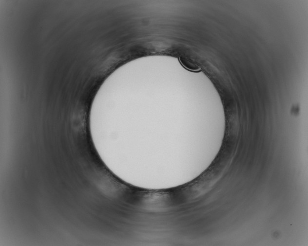 X0000101200274200807251033