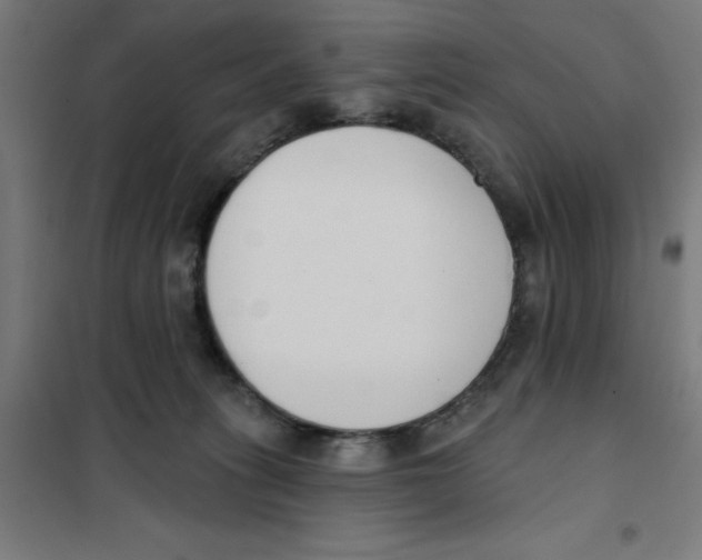 X0000101200275200807251033
