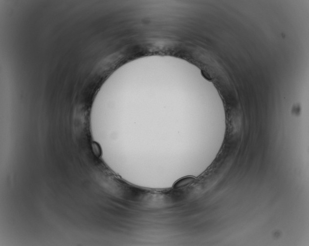 X0000101200276200807251033