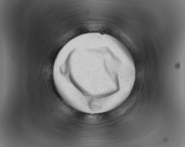 X0000101200277200807251033