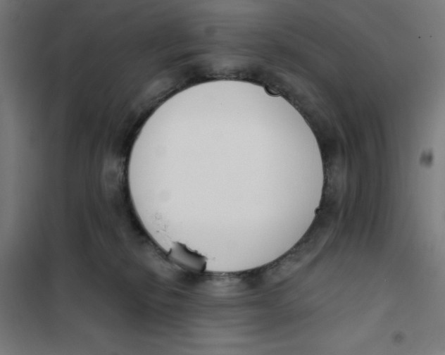 X0000101200278200807251033