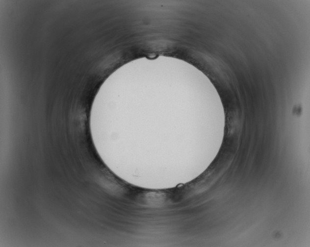 X0000101200279200807251033