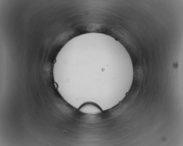 X0000101200280200807251033