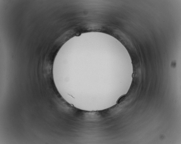 X0000101200281200807251033