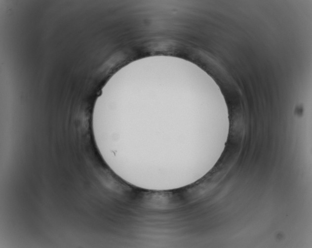 X0000101200282200807251033
