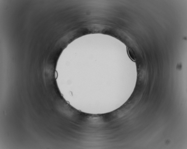 X0000101200283200807251033