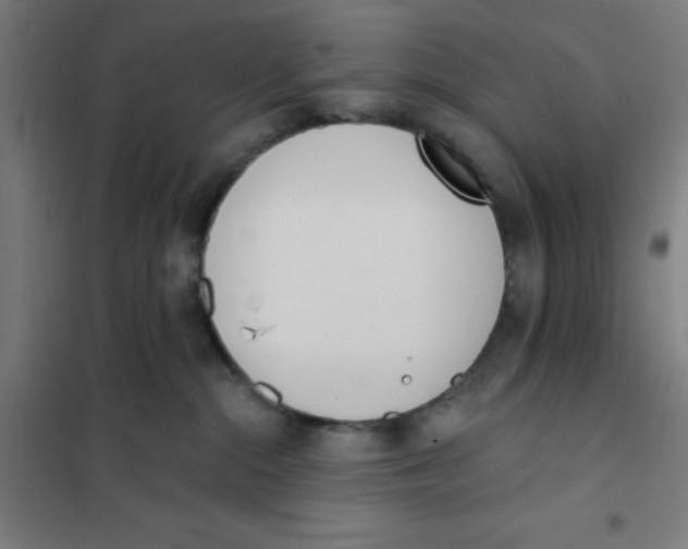 X0000101200284200807251033