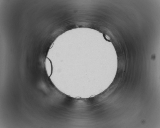 X0000101200285200807251033