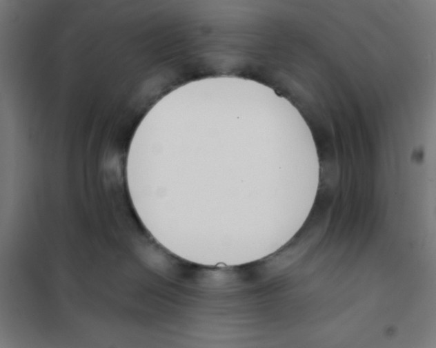 X0000101200286200807251033
