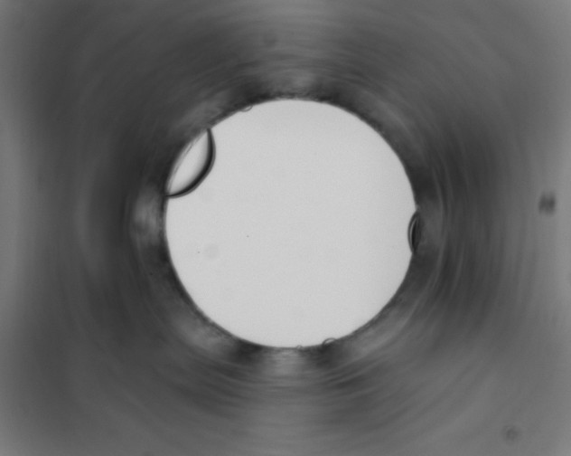 X0000101200287200807251033