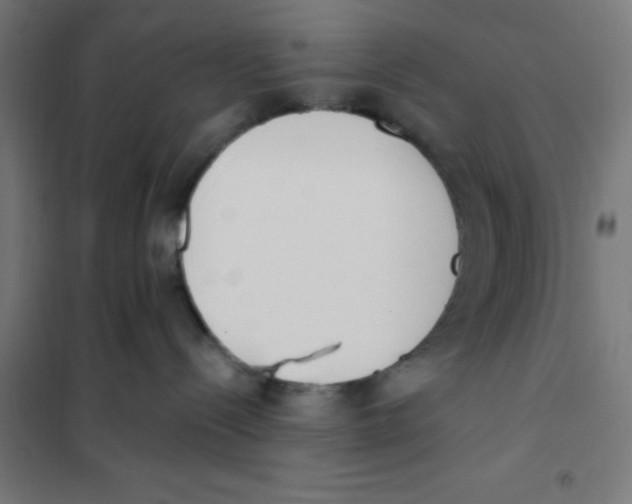 X0000101200288200807251033