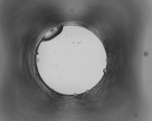 X0000101200289200807251032