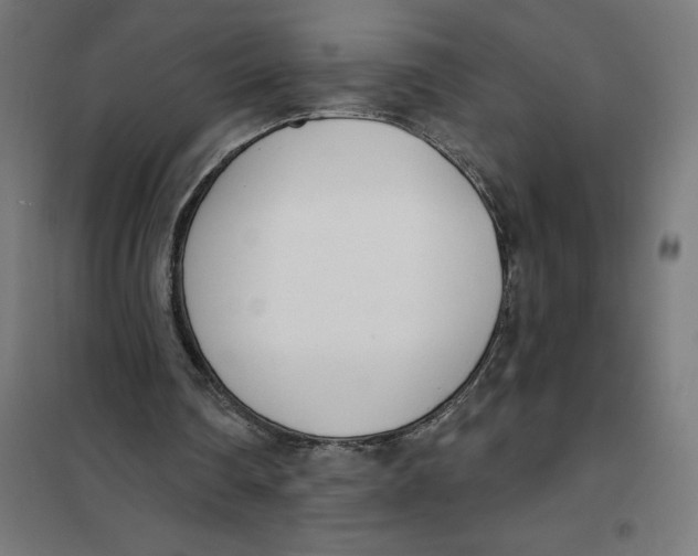 X0000101200290200807251032