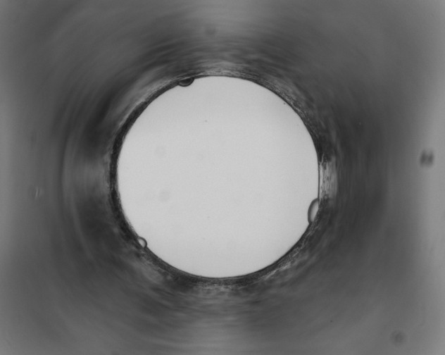 X0000101200291200807251032