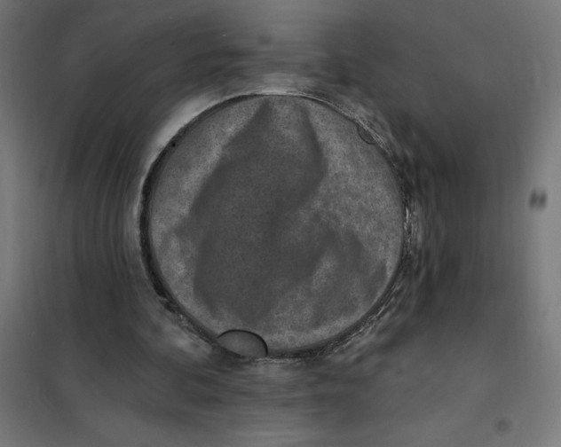 X0000101200292200807251032