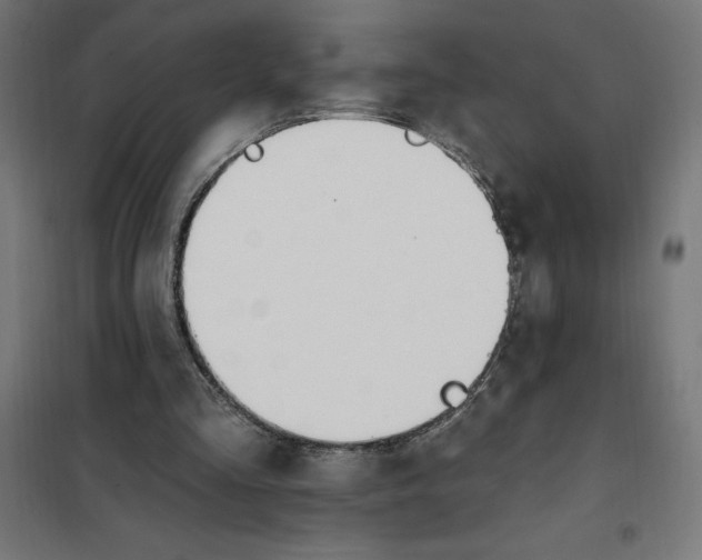 X0000101200293200807251032