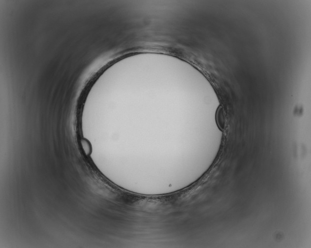 X0000101200294200807251032