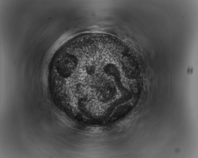 X0000101200295200807251032