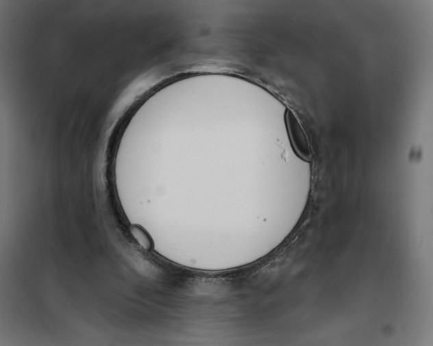 X0000101200296200807251032