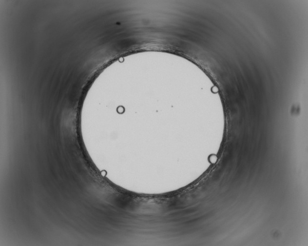 X0000101200297200807251032