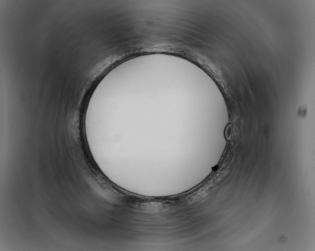 X0000101200298200807251032
