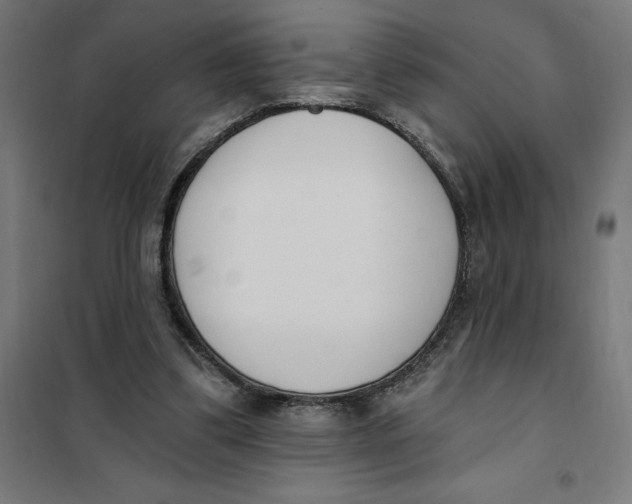 X0000101200299200807251032