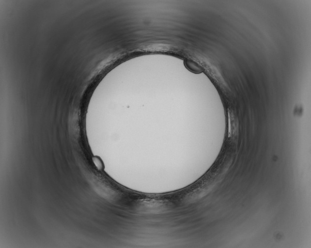 X0000101200300200807251032