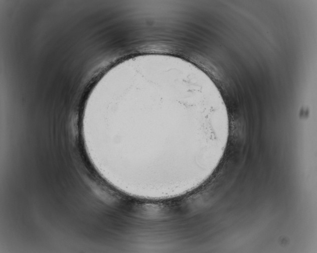 X0000101200302200807251032