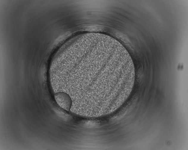 X0000101200303200807251032