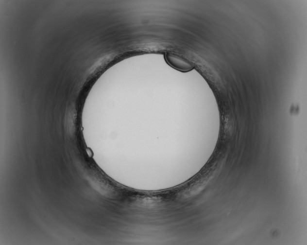 X0000101200304200807251032