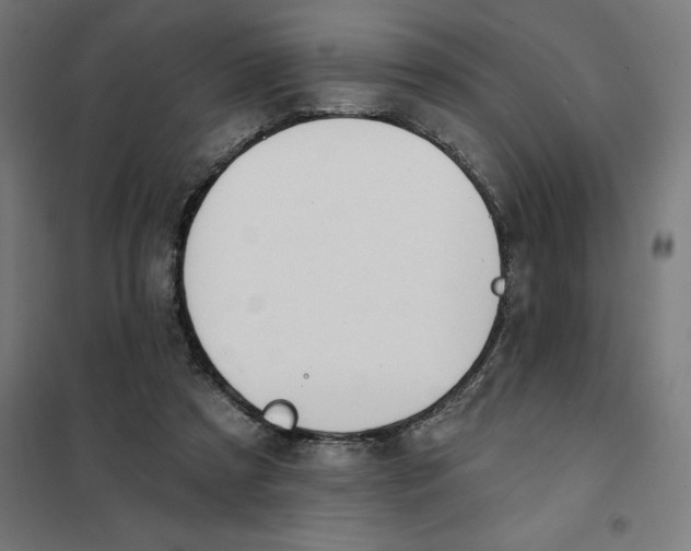 X0000101200305200807251032