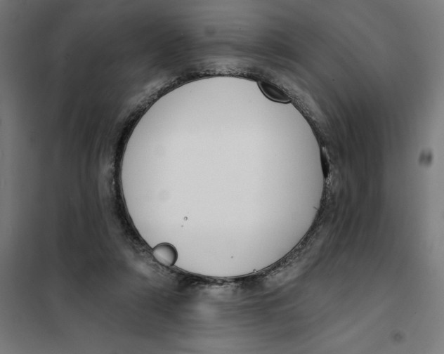 X0000101200306200807251032