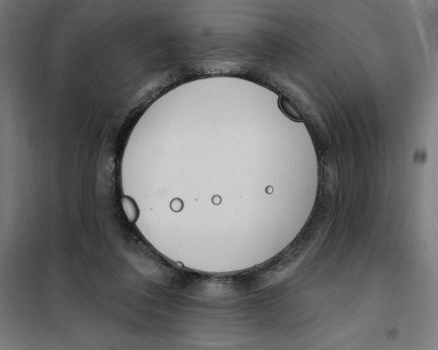 X0000101200308200807251032