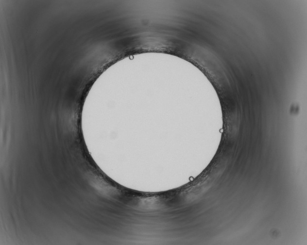 X0000101200309200807251032