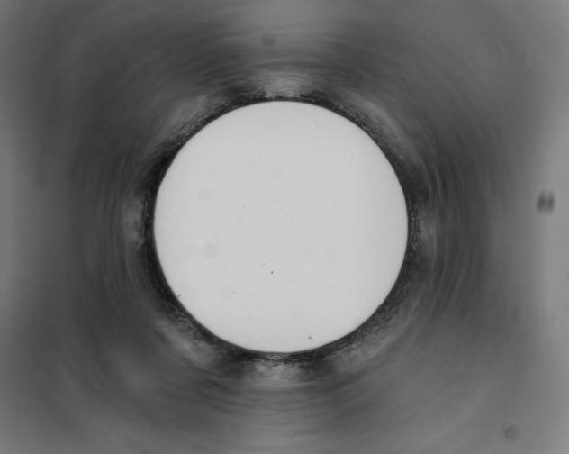 X0000101200311200807251032