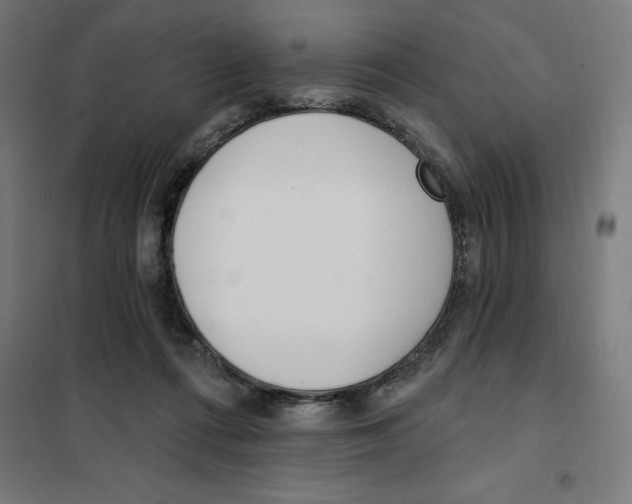 X0000101200312200807251032