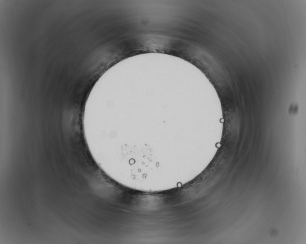X0000101200313200807251032