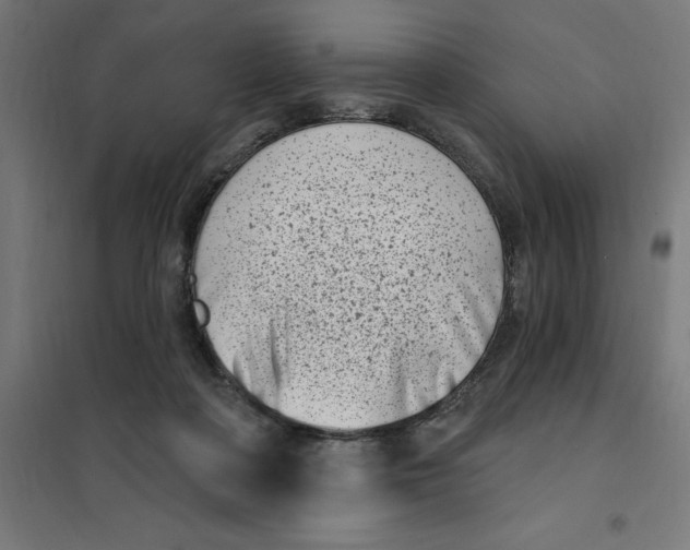 X0000101200314200807251032