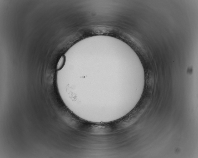 X0000101200315200807251032