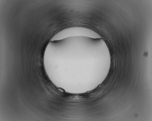 X0000101200316200807251032