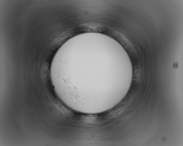 X0000101200318200807251031