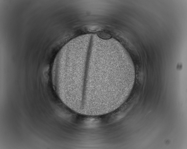 X0000101200319200807251031