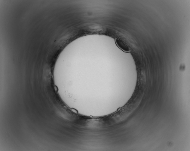 X0000101200320200807251031